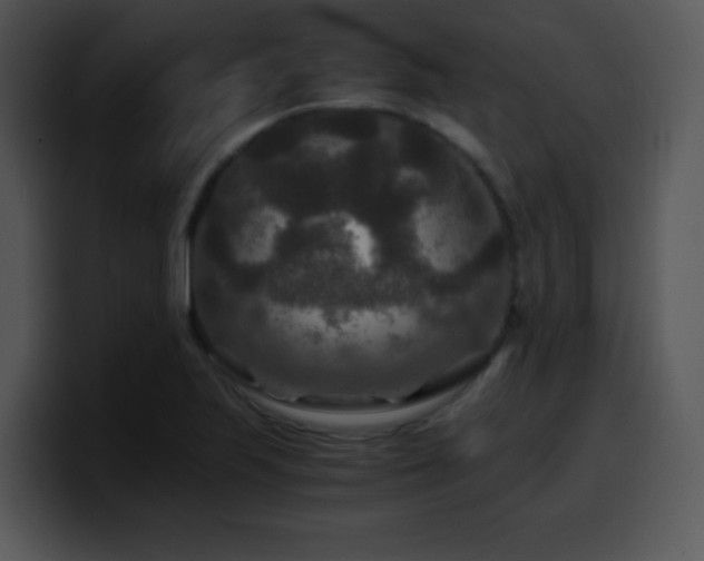 X0000100401223200806061309