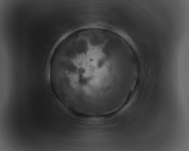 X0000100401224200806061309