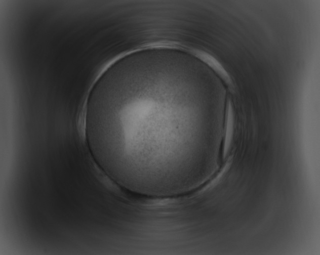X0000100401228200806061309