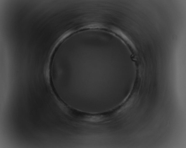 X0000100401229200806061309