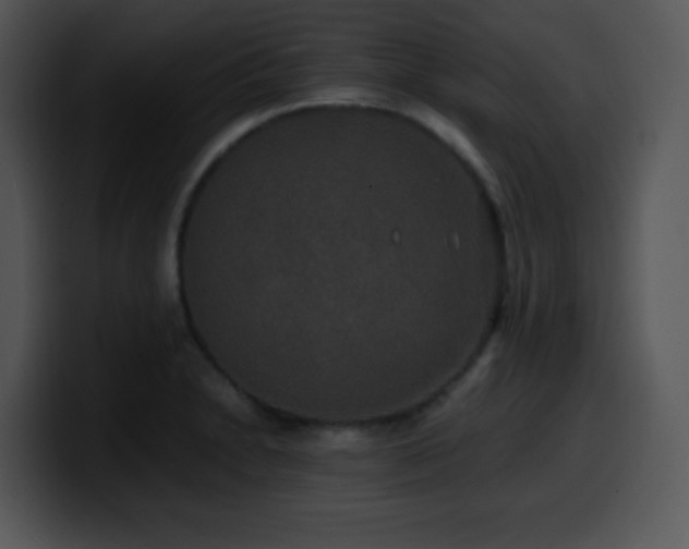 X0000100401230200806061309