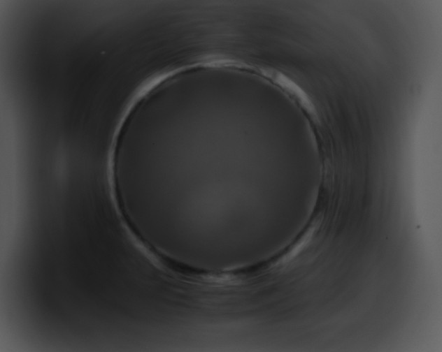 X0000100401231200806061309