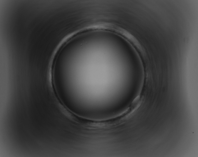 X0000100401232200806061309