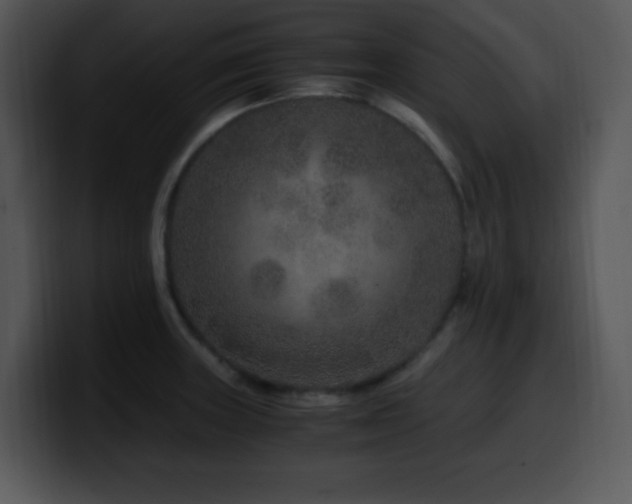 X0000100401235200806061309