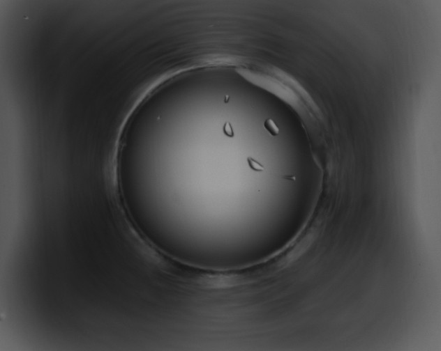 X0000100401236200806061309