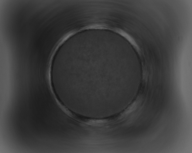 X0000100401237200806061309