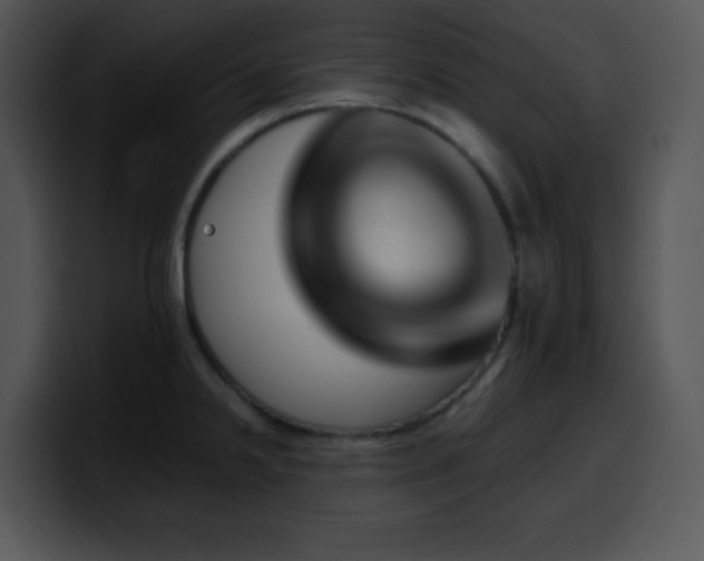 X0000100401238200806061309