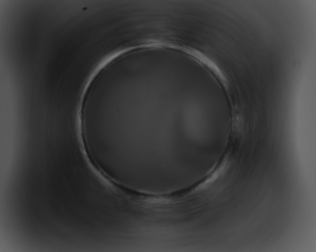 X0000100401239200806061309