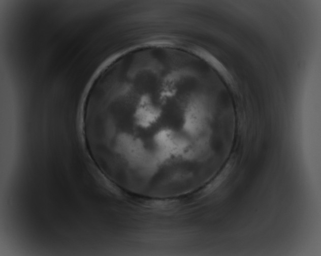 X0000100401240200806061309