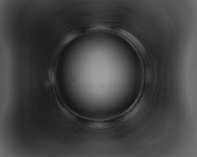 X0000100401241200806061309