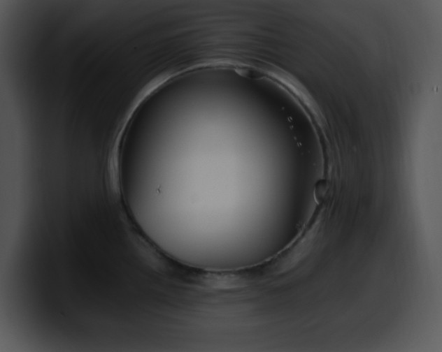 X0000100401242200806061309