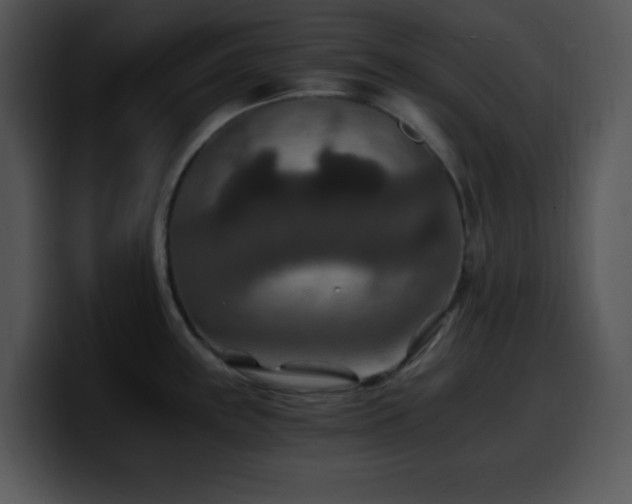 X0000100401243200806061309