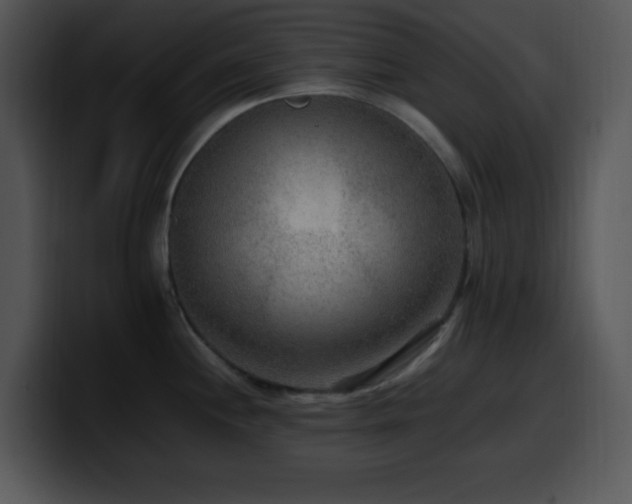 X0000100401244200806061309