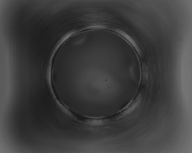 X0000100401245200806061309