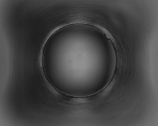 X0000100401246200806061309
