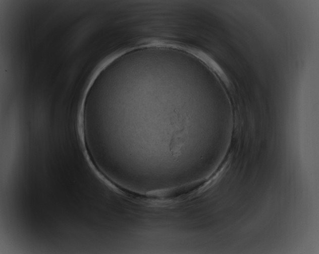 X0000100401247200806061309