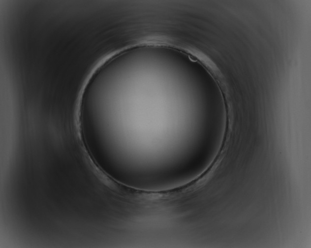 X0000100401248200806061309