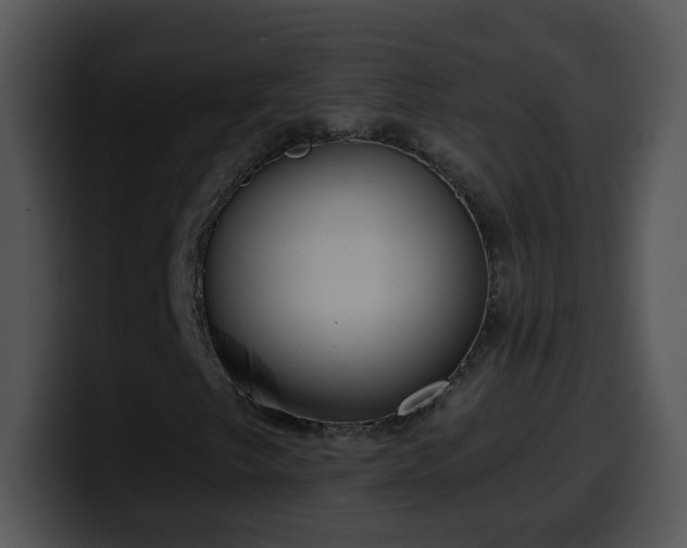 X0000100401249200806061308