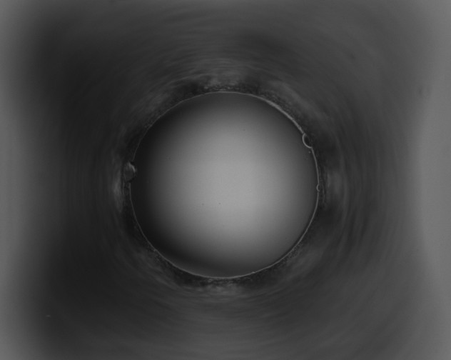 X0000100401250200806061308