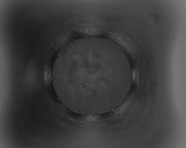 X0000100401251200806061308