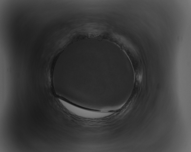 X0000100401252200806061308