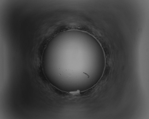 X0000100401253200806061308