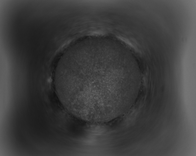 X0000100401254200806061308