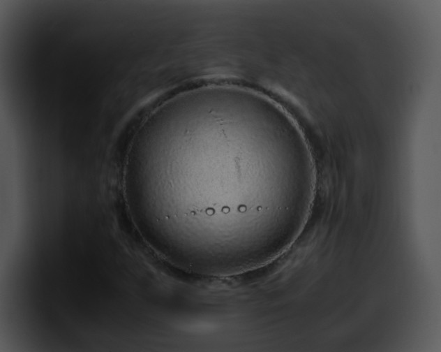 X0000100401255200806061308