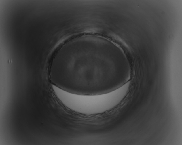 X0000100401256200806061308