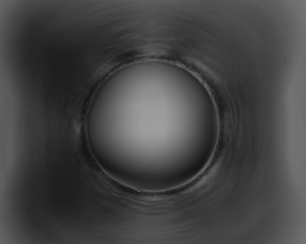 X0000100401257200806061308
