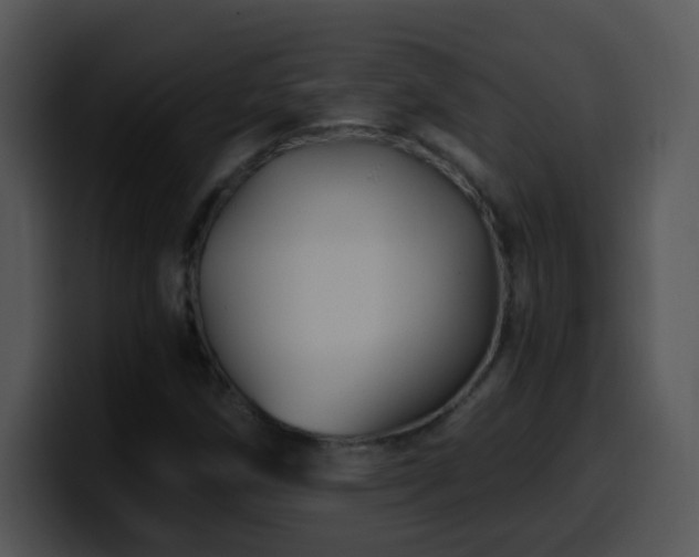 X0000100401258200806061308