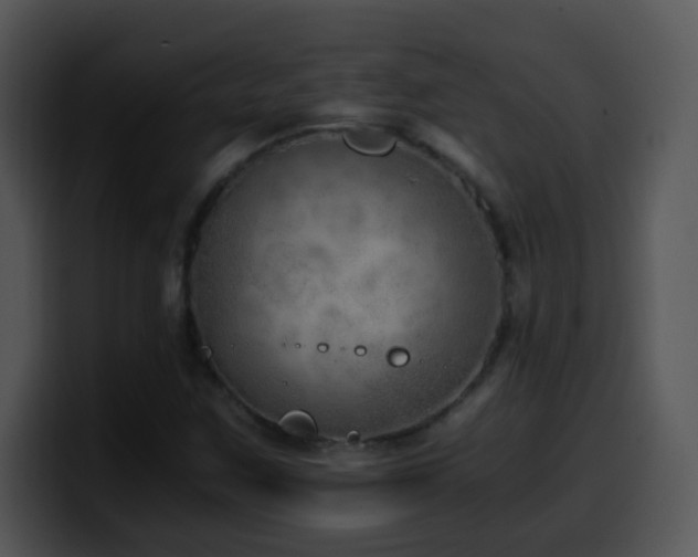 X0000100401259200806061308