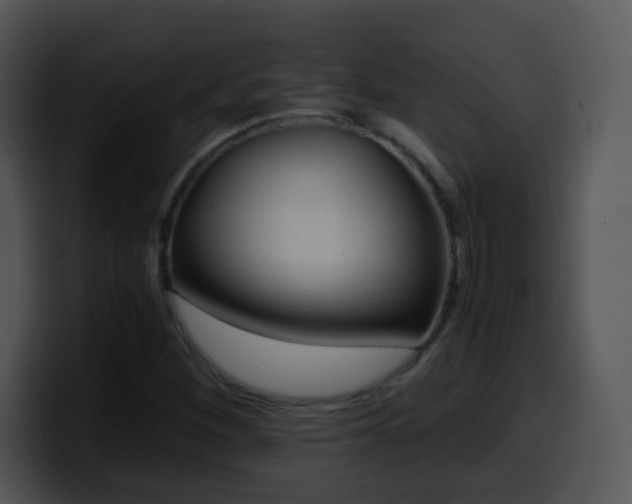 X0000100401260200806061308