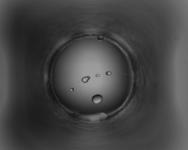 X0000100401261200806061308