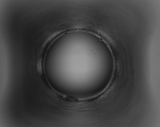 X0000100401262200806061308