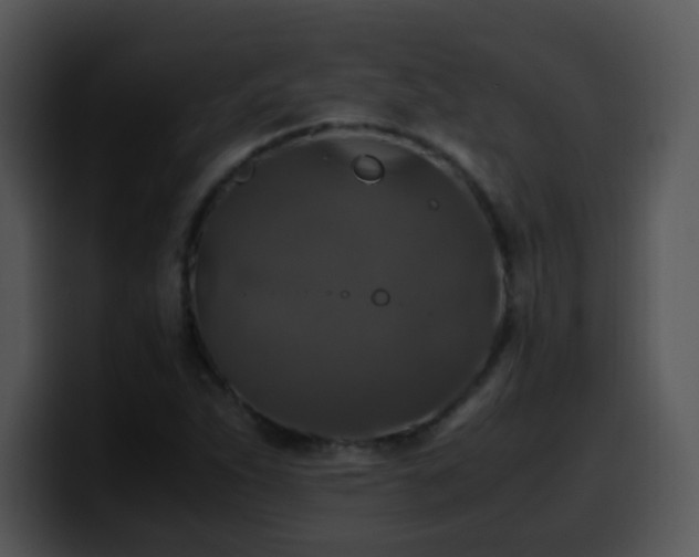 X0000100401263200806061308