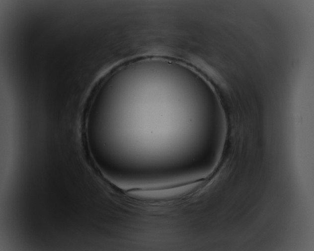 X0000100401264200806061308