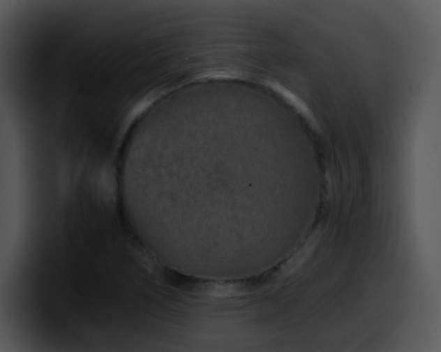 X0000100401266200806061308