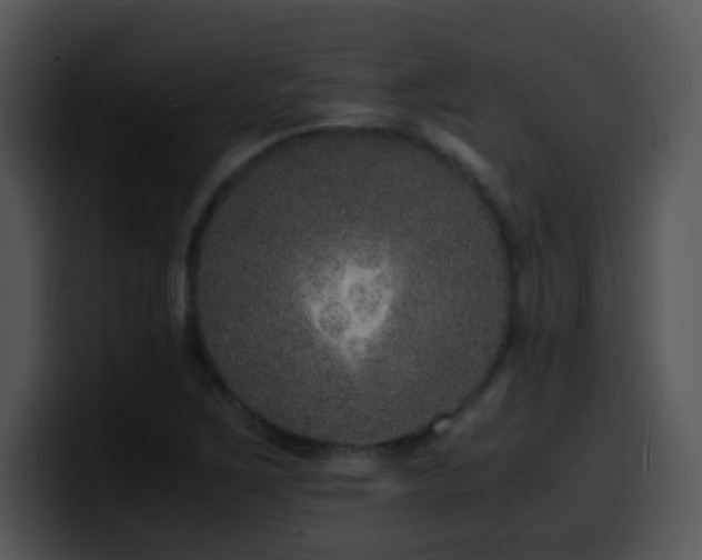 X0000100401267200806061308