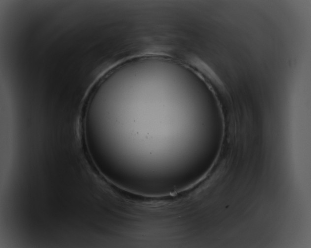 X0000100401268200806061308