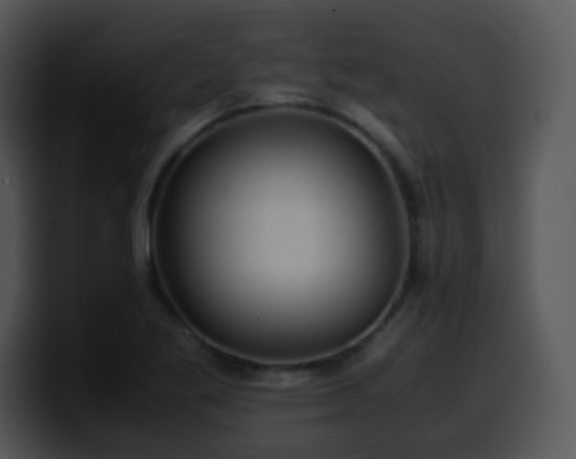 X0000100401269200806061308