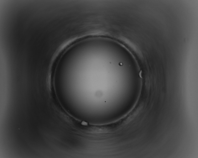 X0000100401270200806061308