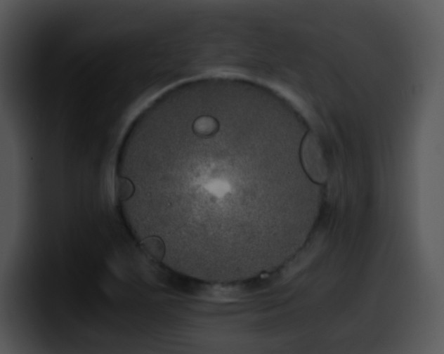 X0000100401271200806061308