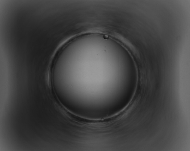 X0000100401272200806061308
