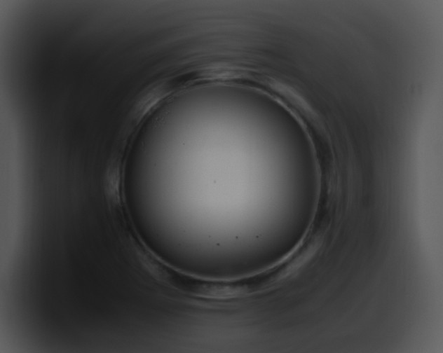X0000100401273200806061308