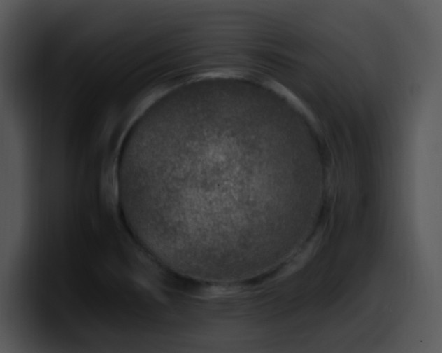 X0000100401274200806061308