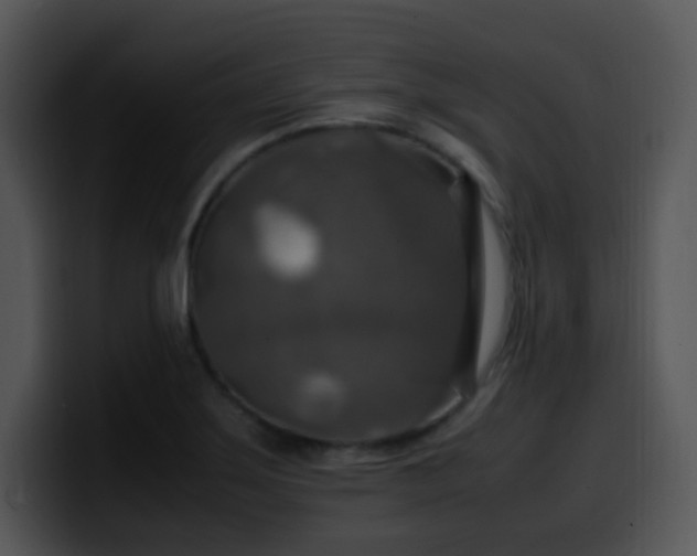 X0000100401275200806061308