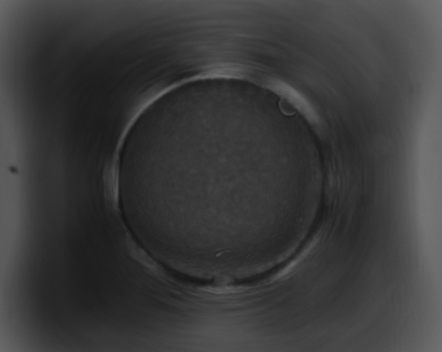 X0000100401276200806061308