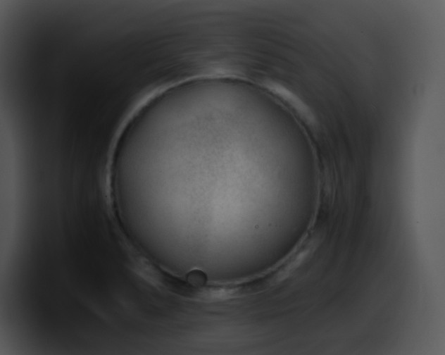 X0000100401278200806061308