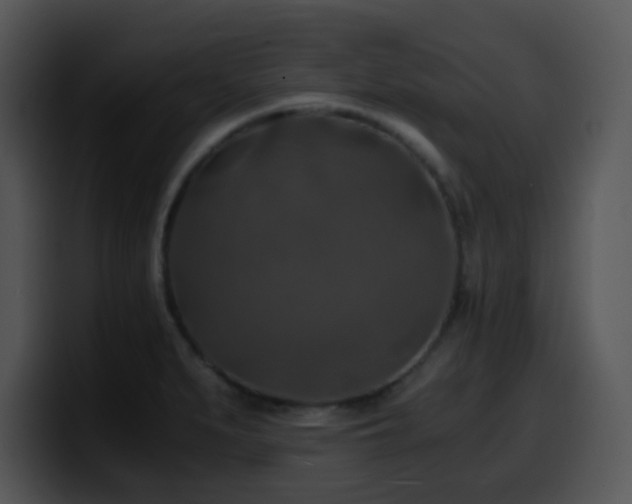 X0000100401279200806061308